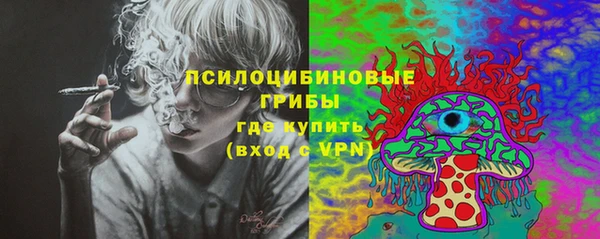 ГАЛЛЮЦИНОГЕННЫЕ ГРИБЫ Баксан