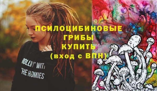 ГАЛЛЮЦИНОГЕННЫЕ ГРИБЫ Баксан